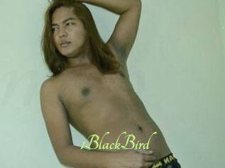 1BlackBird