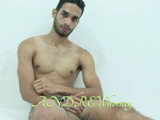 ANDREWhorney