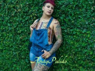 AndyPulido