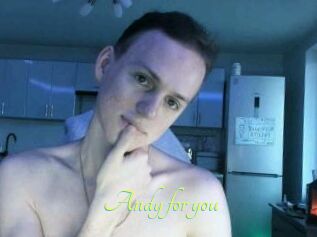 Andy_for_you