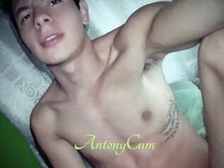 AntonyCum