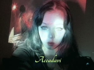 Accadavi