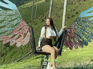 Aidara
