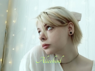 Alicebird