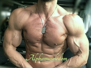 Alphamuscledom