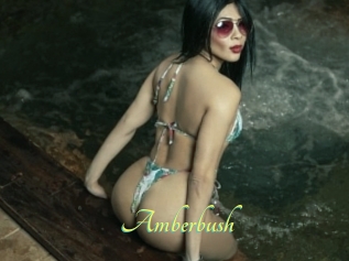 Amberbush