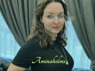 Aminaholms