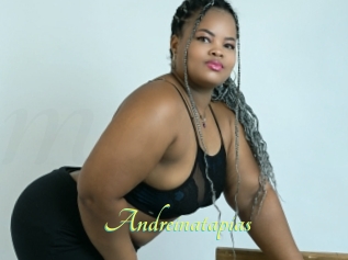 Andreinatapias