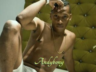 Andybony