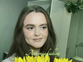 Antoniadudley