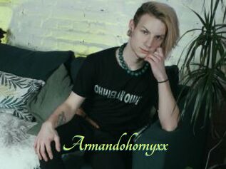 Armandohornyxx