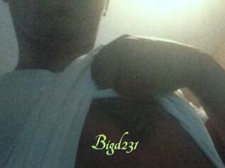 Bigd231