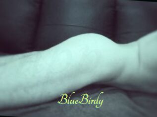BlueBirdy