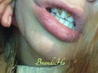 BrandiHo