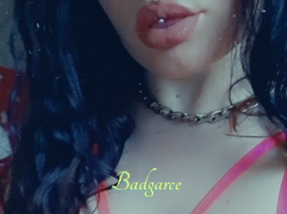 Badgarce