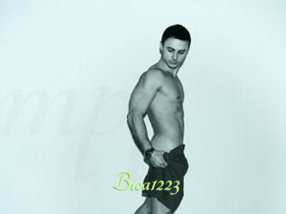 Bica1223