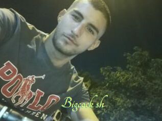 Bigcock_sh