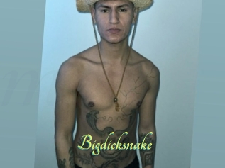 Bigdicksnake