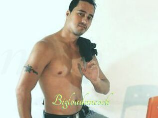 Bigloadnncock