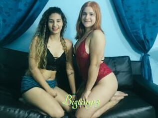 Bigtinys3