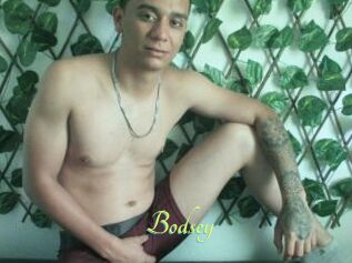 Bodsey