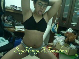 BoyHornyAFcrossdress