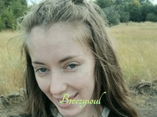 Breezysoul