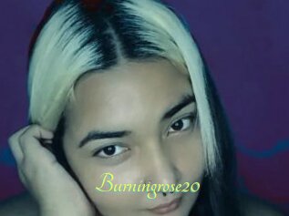 Burningrose20