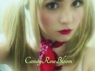 CandyRoseBloom