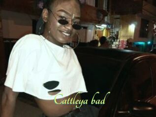 Cattleya_bad