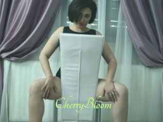 CherryBloom
