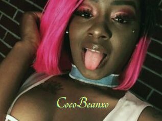 CocoBeanxo