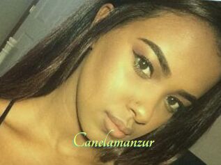 Canelamanzur
