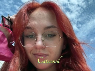 Catecovil