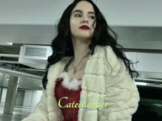 Cateellender