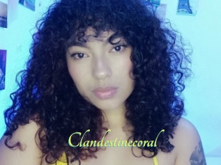 Clandestinecoral