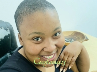 Cocoflames23