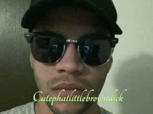 Cutephatlittlebrowndick
