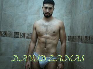 DAVID_ZANAS