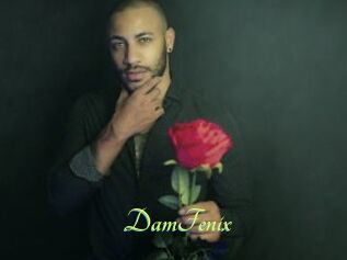 DamFenix