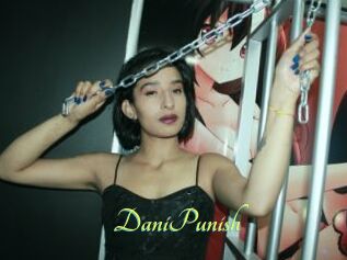 DaniPunish