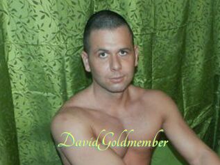 DavidGoldmember
