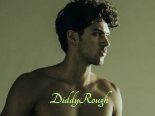 DiddyRough
