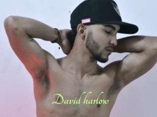 David_harlow