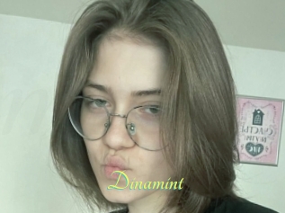 Dinamint