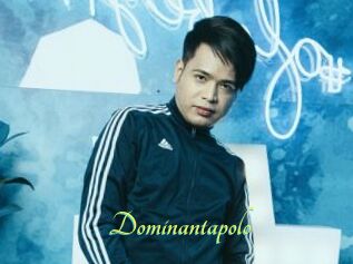 Dominantapolo