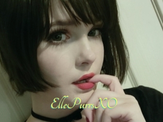 EllePurrsXO