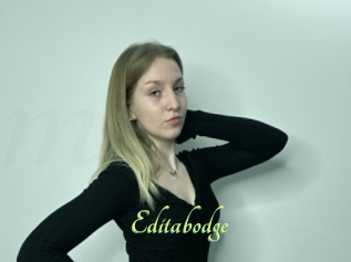 Editabodge