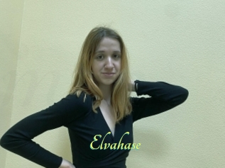 Elvahase