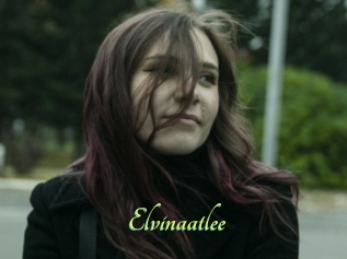 Elvinaatlee